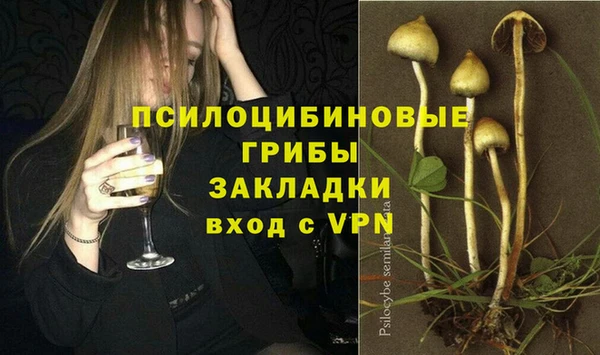 прущие крисы Алексин
