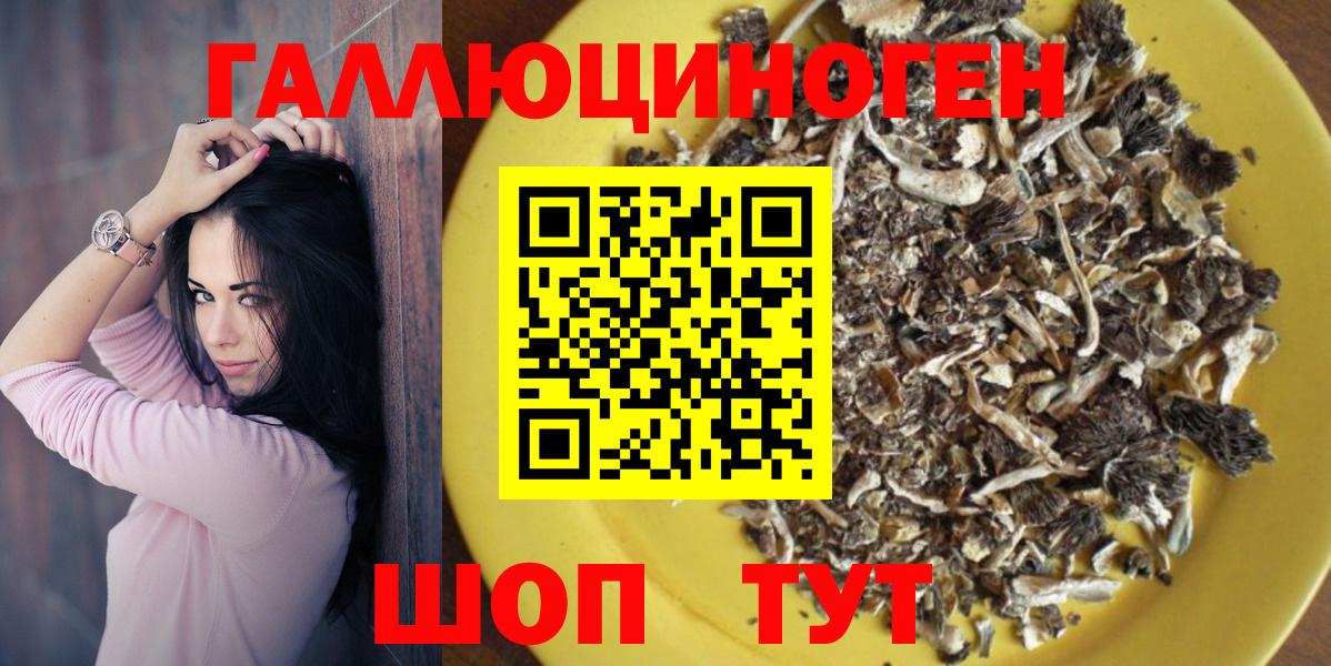 Псилоцибиновые грибы GOLDEN TEACHER Гурьевск